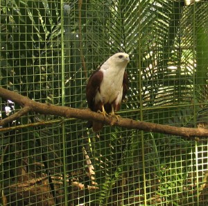 Mini-Zoo im MOAP