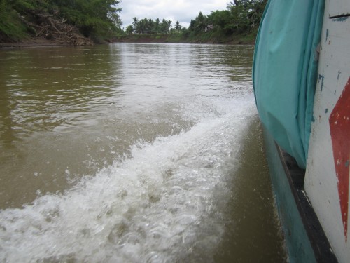 Agusan Marsh - Lolong´s home